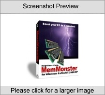 MemMonster Site License Screenshot